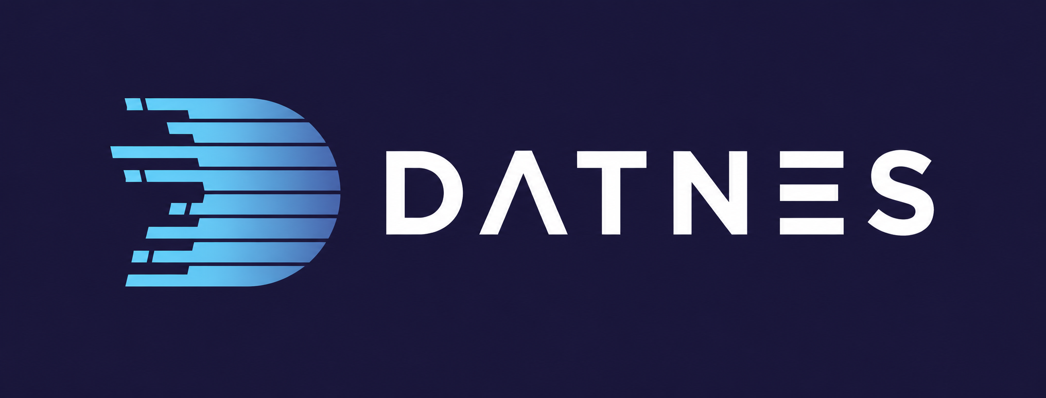 DATNES Bilişim A.Ş.